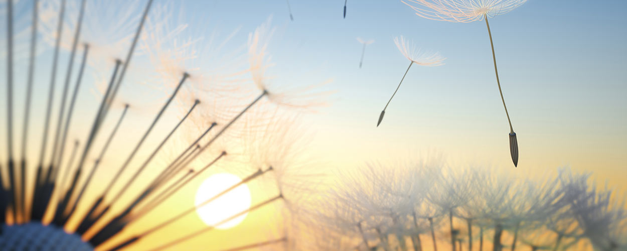 Physiotherapie Grotzke - Die Seele aller Dinge ist Bewegung